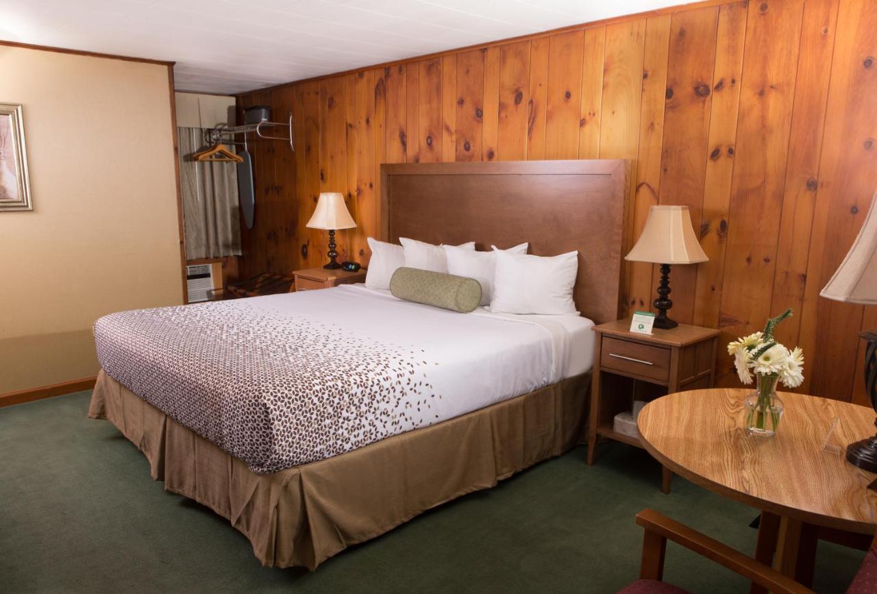 Motel Knotty Pine